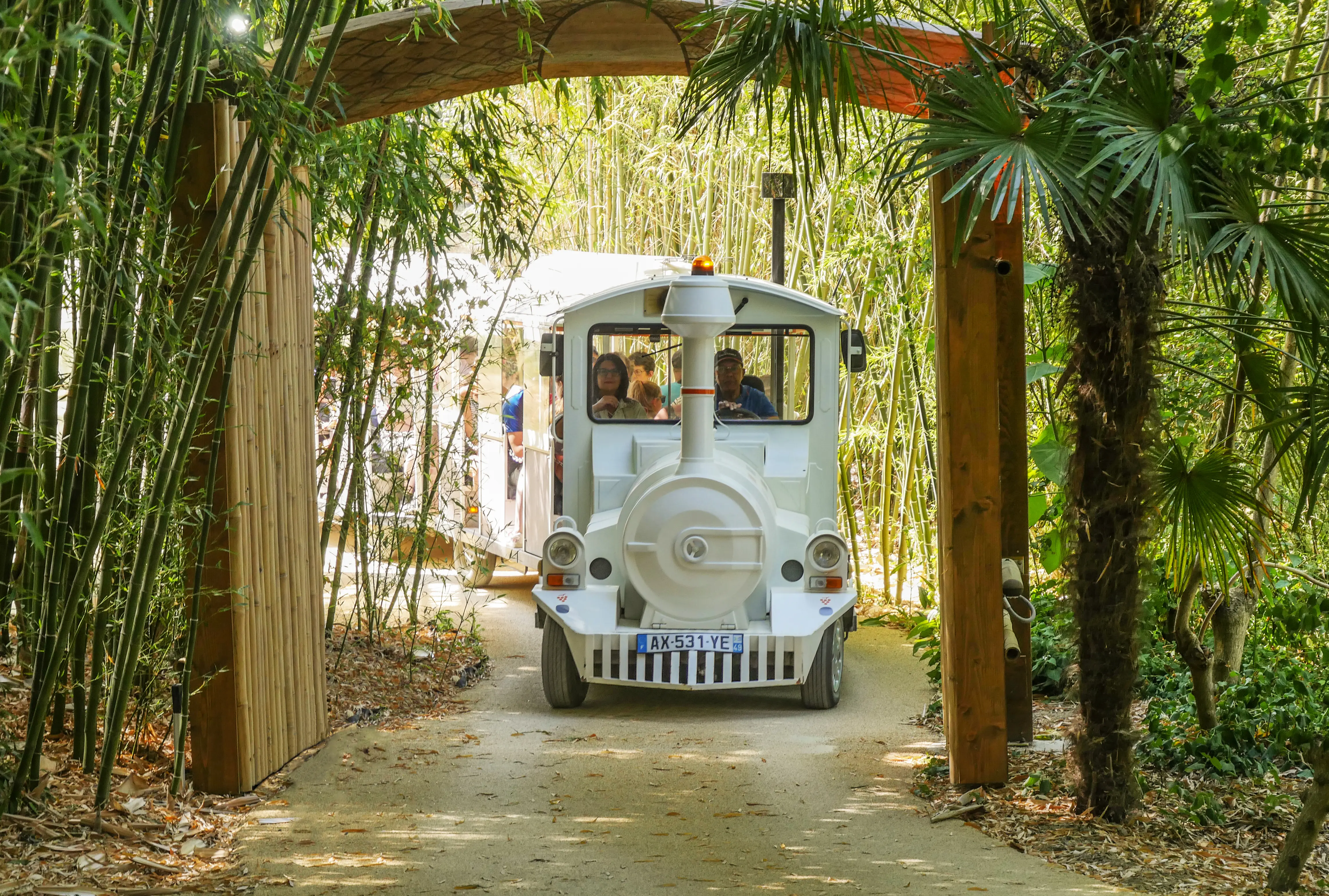 Terra Botanica