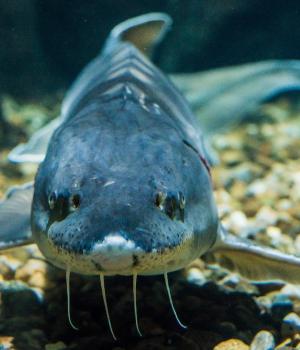 Grand Aquarium de Touraine